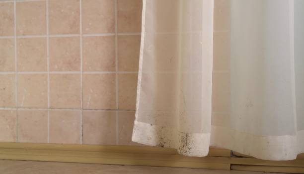 Best Mold Remediation for Rental Properties  in Metter, GA
