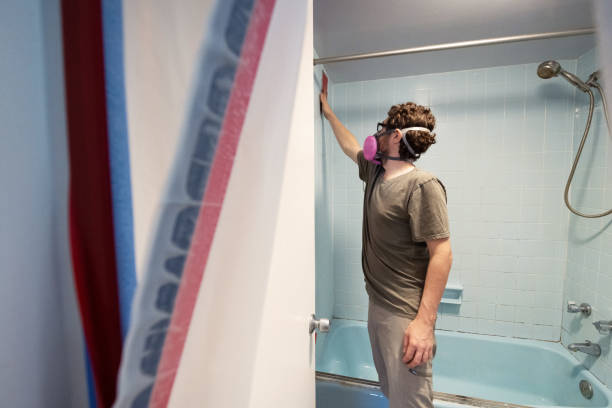 Best Mold Removal for HVAC Installations  in Metter, GA